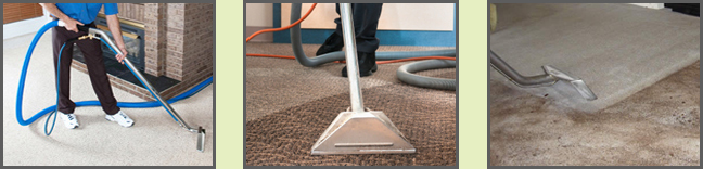 Steam Cleaning Carpets